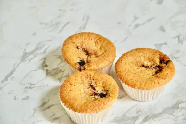 Vegan Lemon-Blauwebes cake